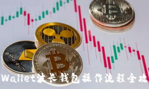  
tpWallet波长钱包操作流程全攻略