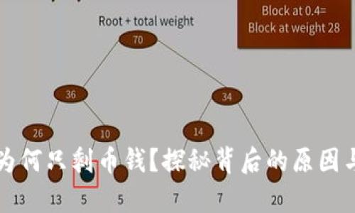 tpWallet为何只剩币钱？探秘背后的原因与解决方案
