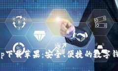 钱呗钱包app下载苹果：安全、便捷的数字钱包解