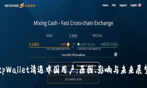 tpWallet清退中国用户：原因、影响与未来展望