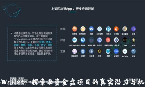 
tpWallet: 探索非资金盘项目的真实潜力与机会