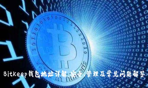 BitKeep钱包地址详解：安全、管理及常见问题解答