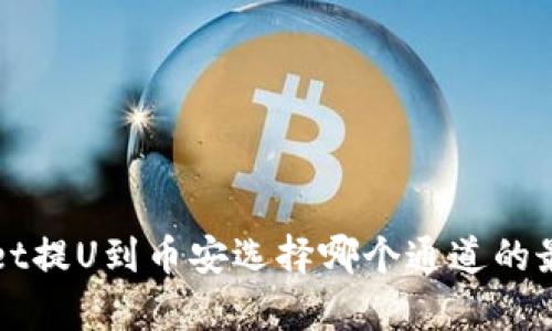 tpWallet提U到币安选择哪个通道的最佳指南
